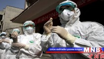 Шувууны томуу гарсаар байна 