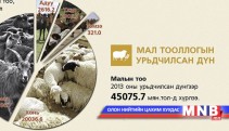 Монгол улсын мал сүргийн тоо 45075.7 мянган толгойд хүрчээ