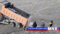 Аргаль, янгир усгүйдэж байна