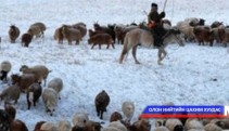Малын хулгайтай тэмцэнэ