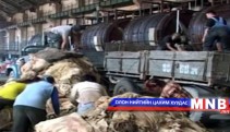       Арьс, ширний урамшууллыг олгоно 