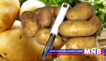 Айдас, хардалт хоёрыг намжаахад нотлогоо хэрэгтэй...