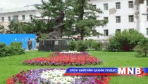 Модлог ургамлын тоосонцрыг бууруулах арга 