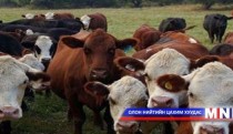Шүлхий гарсан аймгуудад туслав  