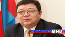 Гадаадад амьдардаг иргэдээ хүчирхийллээс хамгаална