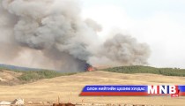 Булган аймгийн ой хээрийн түймрийг унтраажээ