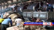 Арьс, ширний урамшууллын мөнгө олгох ажил удаашралтай байна