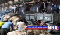 Арьс, ширний урамшууллыг олгож эхэлнэ 