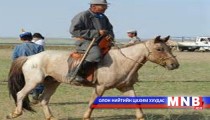 Талбайд хашуулсан мал аюулд ороод байгаа талаар малчид гомдоллов  