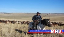 Орон нутагт малжуулах төсөл хэрэгжлээ