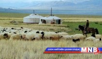 Эрдэнэмандал улсын хамгийн олон малтай сумаар шалгарчээ