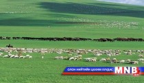 Малын тооноос илүү чанар чухал байна 