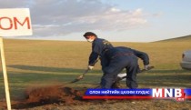 Боом өвчний тархалт нэмэгдэх хандлагатай байна