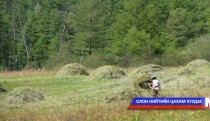 Шивээ их ургаснаас болж түймэр гарчээ