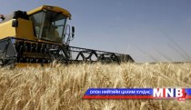 Ховд аймгийн тариа хураалт 85 хувьтай байна
