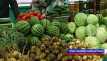 Хүнсний ногооны хураалт эхэллээ 