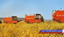 Буудайн чанараас шалтгаалж үнийг тогтоох хэрэгтэй гэв