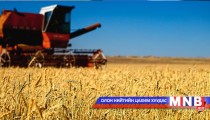 Сэлэнгэ аймгийн тариа хураалт ирэх сарын 5-нд дуусна