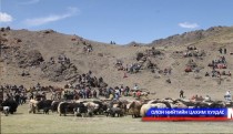 Уулзалт хэлэлцүүлэг зохион байгуулна