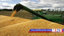 Улаанбуудайгаа барьцаалж болно