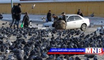 Тагтаа хооллохгүй байхыг хүсэв