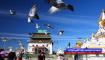 Гандантэгчинлэн хийдэд ариутгал, халдваргүйжүүлэлт хийлээ