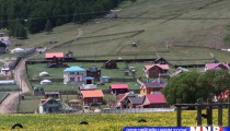 Хууль бус газар олголтод цэг тавина 