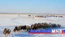 Ихэнх нутгаар бэлчээрийн даац муудна