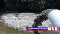 Голыг бохирдуулж буй арьс, ширний үйлдвэрүүдийн үйл ажиллагааг зогсоов 