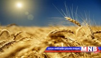 Дотооддоо шилдэг сортын үр тариалах хэрэгтэй гэв