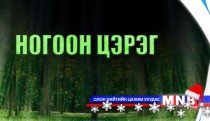Ногоон цэрэг