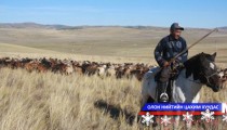 Нийт нутгаар цасгүй, мал усаар хашигдаж байна 
