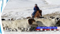 Урьдчилсан дүнгээр 51 сая мал тоологджээ