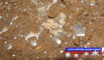 Энэ онд химийн аюултай бодис алдагдсан  10 гаруй тохиолдол гарчээ