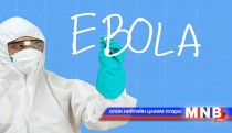 Эболагаар өвчлөгсдийн 39 хувь нь нас баржээ