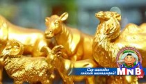 Алтан төлийн эзэн /Гуравдугаар хэсэг/ 
