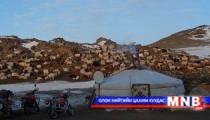 Дорнод аймгаас улсын сайн малчид тодорлоо