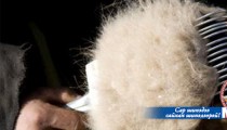 Ноолуур сайтай ямааны үржлийн фермтэй болжээ