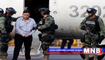 Мексикт томоохон бүлэглэлийн толгойлогчийг баривчилжээ