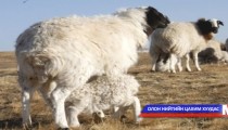 Хаврын бэлтгэл ажлыг орон нутагт эрчимжүүлэхийг санууллаа