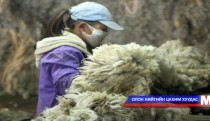 Бичиг баримтын зөрчилгүй бол ноосны урамшуулал олгоно