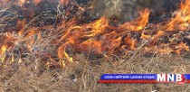 Ой хээрийн түймрийн давтамж ойртох тусам  ургамлын төрөл зүйлд  өөрчлөлт орж эхэлдэг