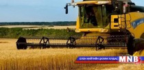 Тариаланч, ногоочдын зөвлөгөөн болов