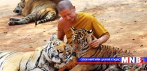 147 бар сүмд амьдарч байна