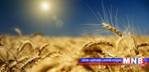 Үр тарианы урамшуулалд анхаарна