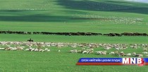 Малын махан ашиг шимийг нэмэгдүүлснээр хоёр их наяд төгрөг олох боломжтой 