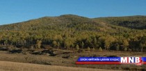 Хөвсгөл аймагт шилмүүст ойн хортон шавж устгах ажил эхэллээ