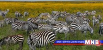 Хятад Танзанид 50 машин хандивлажээ