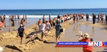 Далайн эрэгт шидэгдсэн халимыг 
