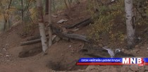  Гацууртын ордыг “нинжа” нар ухсаар байна
